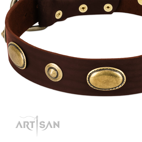 Rust-proof studs on full grain leather dog collar for your doggie