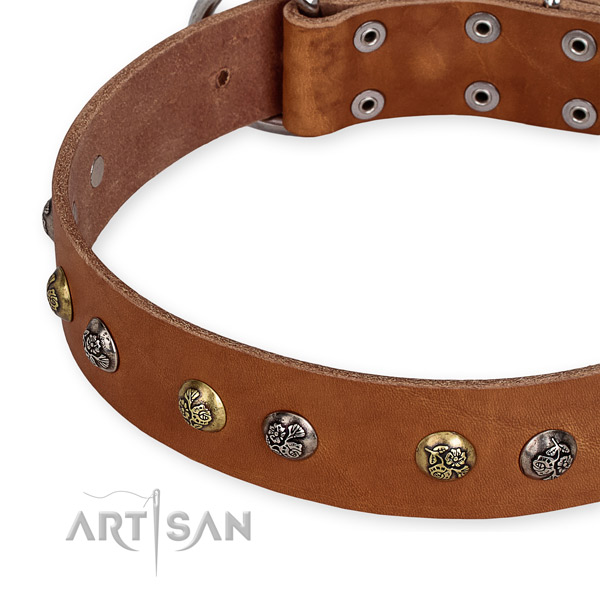 Natural genuine leather dog collar with impressive corrosion proof embellishments