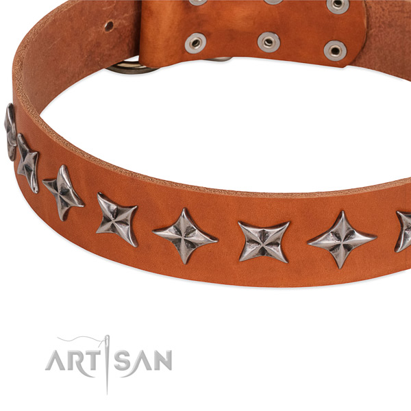 Everyday walking decorated dog collar of reliable natural leather