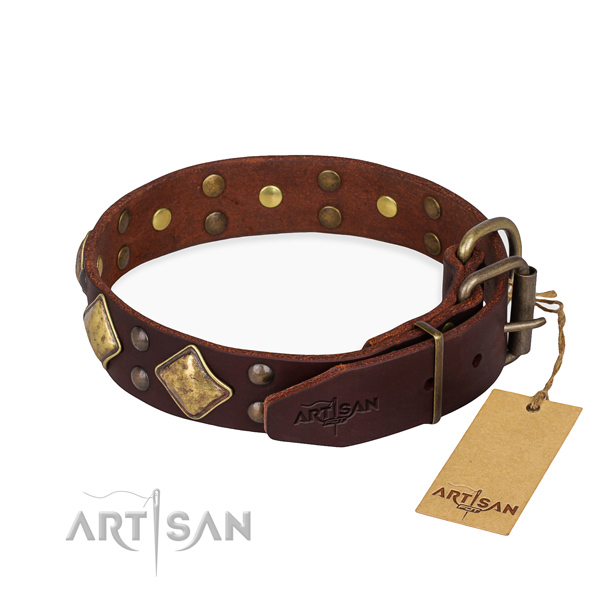 Natural leather dog collar with extraordinary rust-proof decorations