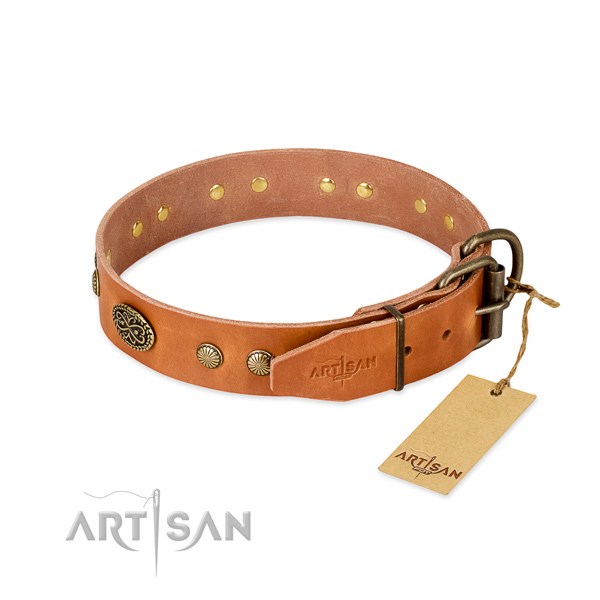 Durable adornments on full grain leather dog collar for your pet