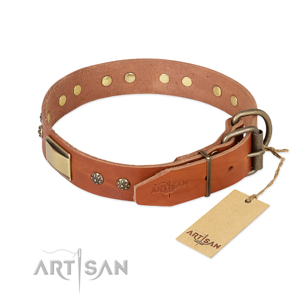 Leather dog collar with corrosion resistant buckle and adornments
