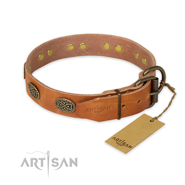 Rust-proof buckle on full grain leather collar for daily walking your four-legged friend