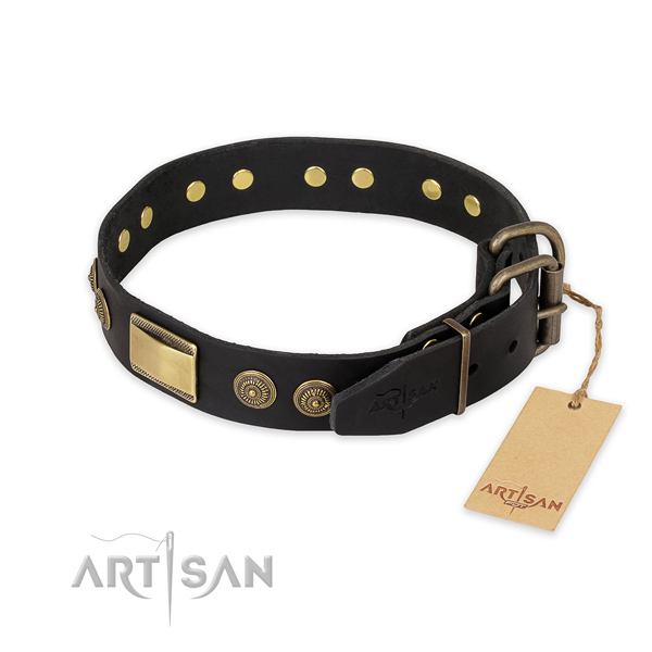 Rust resistant buckle on genuine leather collar for fancy walking your dog