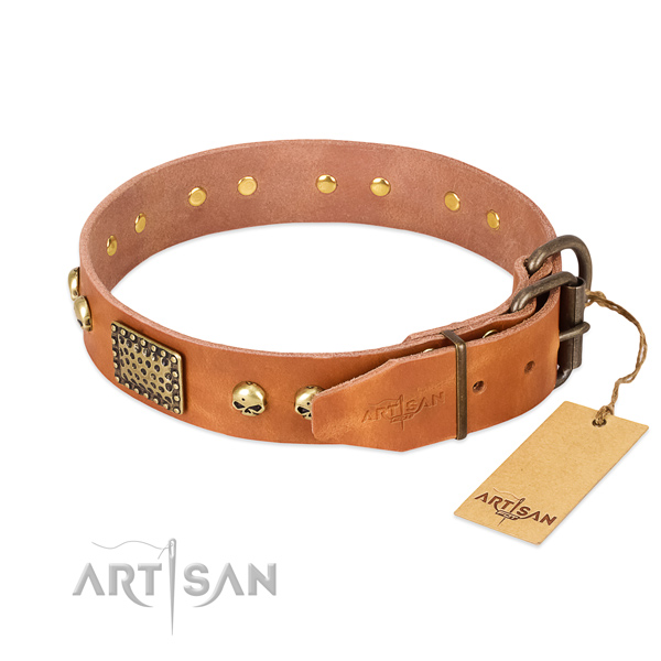 Corrosion proof adornments on basic training dog collar