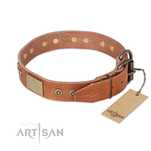 Rust-proof buckle on genuine leather collar for basic training your four-legged friend
