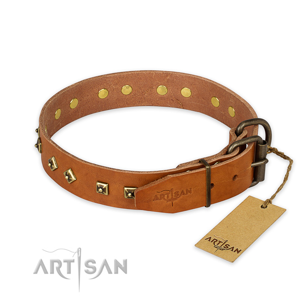 Rust-proof fittings on full grain natural leather collar for everyday walking your pet