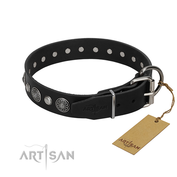 Top notch full grain genuine leather dog collar with unusual adornments