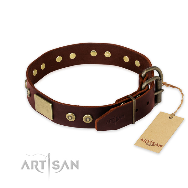 Durable adornments on walking dog collar