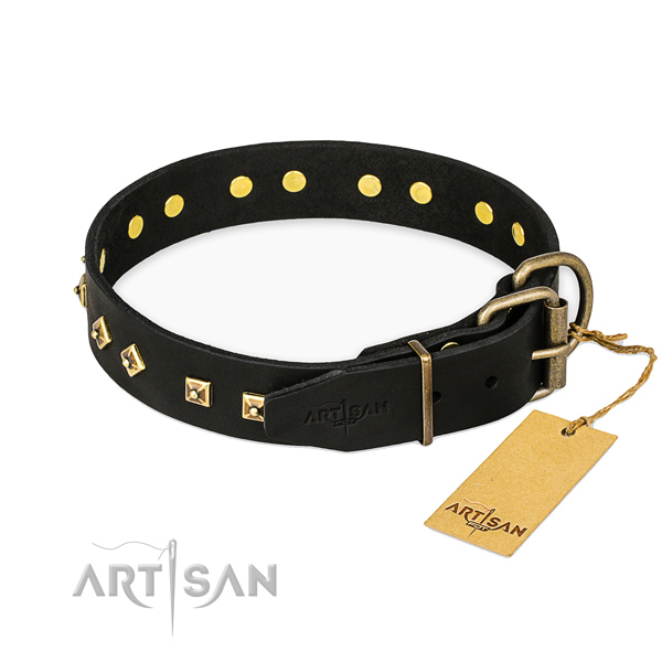 Durable fittings on leather collar for fancy walking your pet