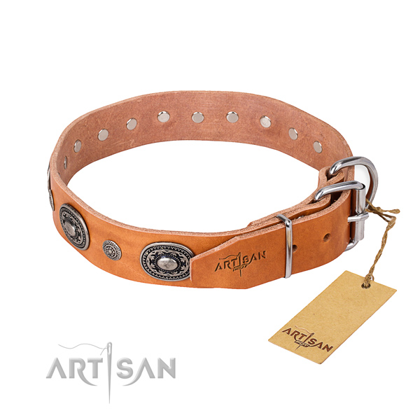 Quality full grain leather dog collar handmade for stylish walking
