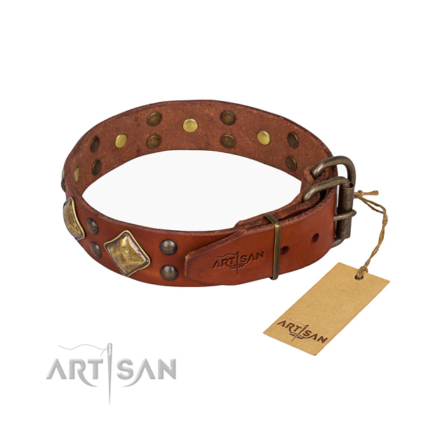 Leather dog collar with stylish design corrosion proof adornments