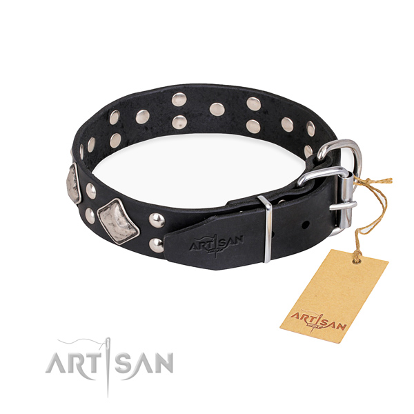 Genuine leather dog collar with incredible rust-proof studs