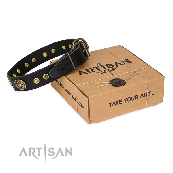 Full grain natural leather dog collar made of top notch material with corrosion resistant fittings