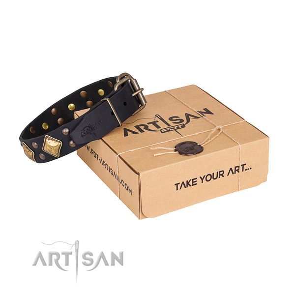 Daily walking dog collar with Exquisite reliable studs