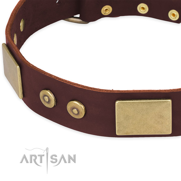 Leather dog collar with embellishments for everyday use