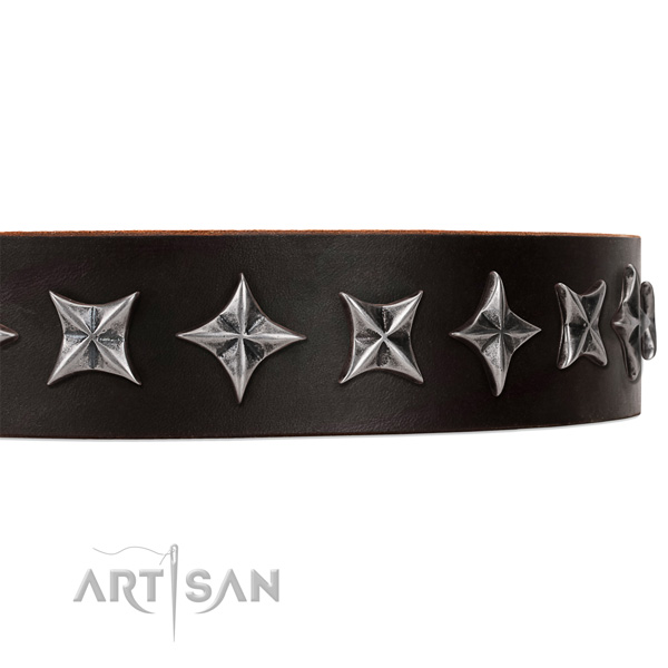 Comfy wearing decorated dog collar of strong natural leather