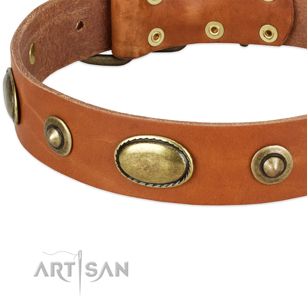 Durable studs on natural leather dog collar for your pet