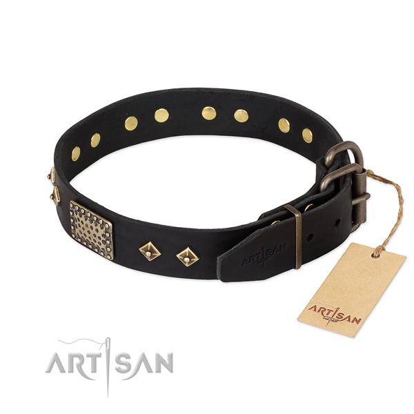 Leather dog collar with reliable fittings and adornments