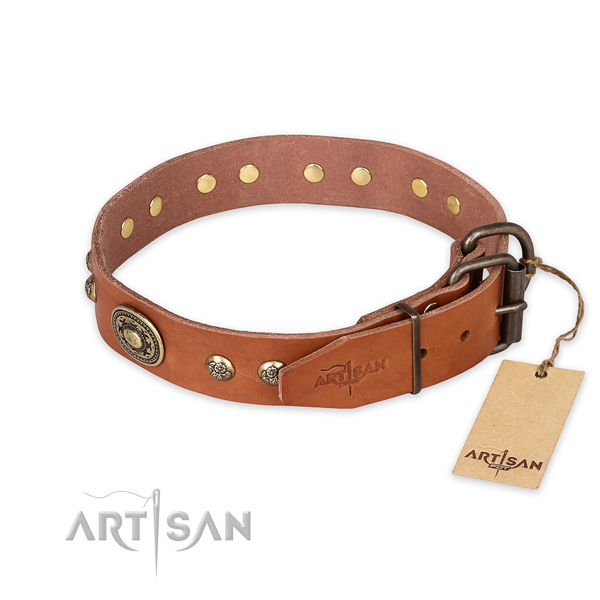 Strong buckle on full grain natural leather collar for stylish walking your canine