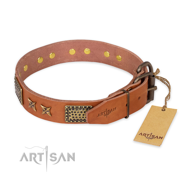Corrosion resistant fittings on leather collar for your lovely dog