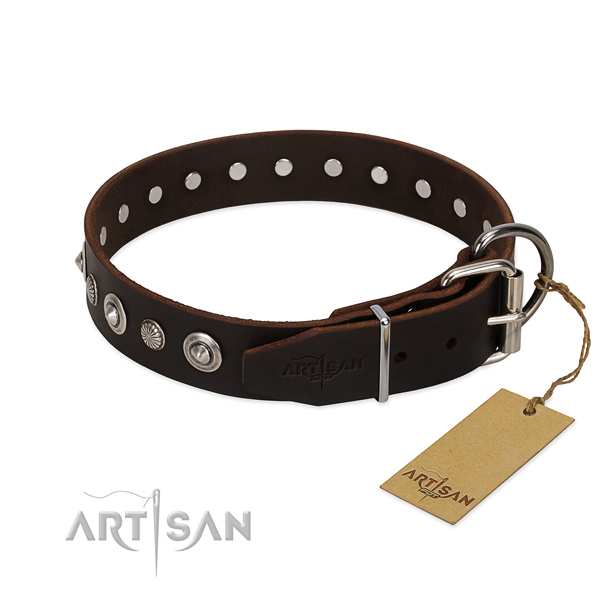 Strong full grain natural leather dog collar with trendy adornments