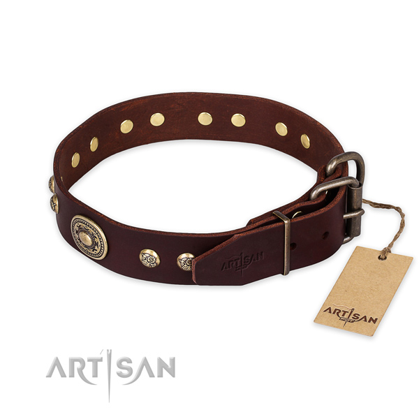 Reliable traditional buckle on full grain natural leather collar for fancy walking your dog