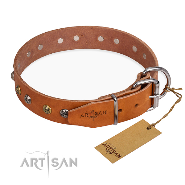 Full grain natural leather dog collar with awesome rust resistant embellishments