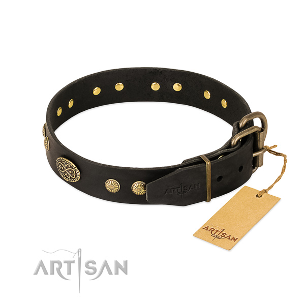Rust-proof buckle on full grain natural leather dog collar for your canine