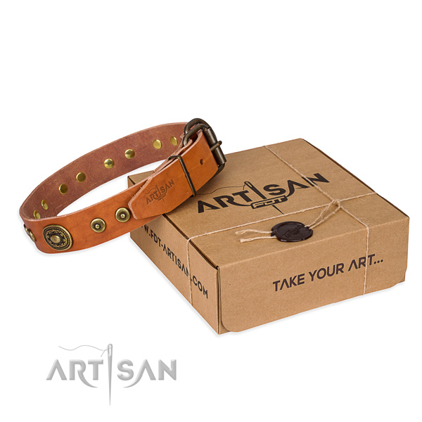 Full grain natural leather dog collar made of best quality material with corrosion resistant hardware