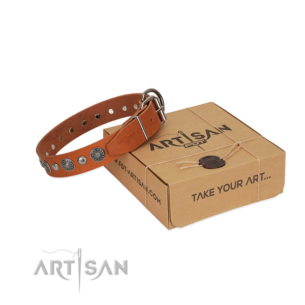 Natural leather collar with corrosion resistant hardware for your attractive four-legged friend