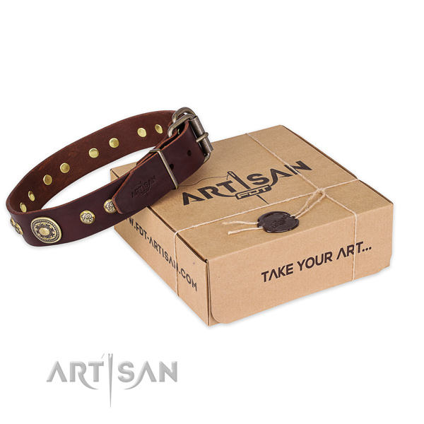 Rust-proof D-ring on leather dog collar for comfortable wearing