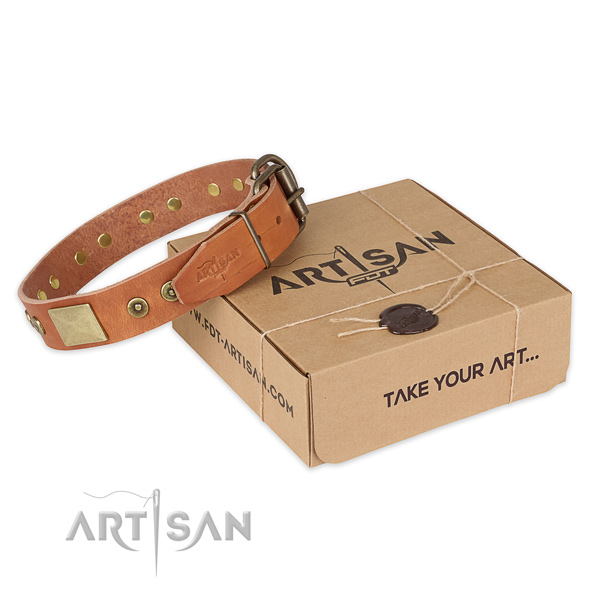 Rust resistant fittings on full grain natural leather dog collar for everyday walking