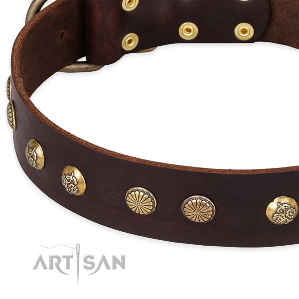 Full grain leather collar with rust-proof D-ring for your lovely four-legged friend