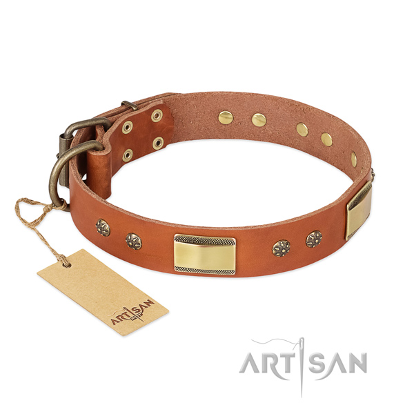 Unique genuine leather collar for your doggie