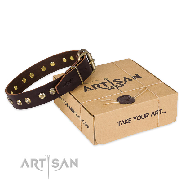 Rust resistant buckle on genuine leather collar for your stylish four-legged friend