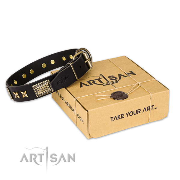 Corrosion proof hardware on leather collar for your handsome four-legged friend