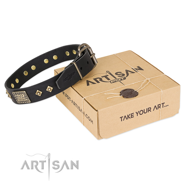Adorned genuine leather collar for your lovely pet