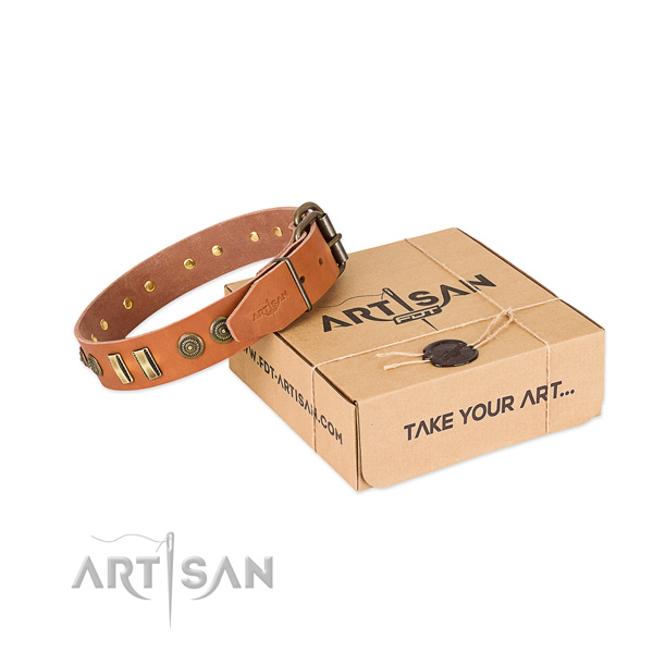 Corrosion proof decorations on leather dog collar for your canine