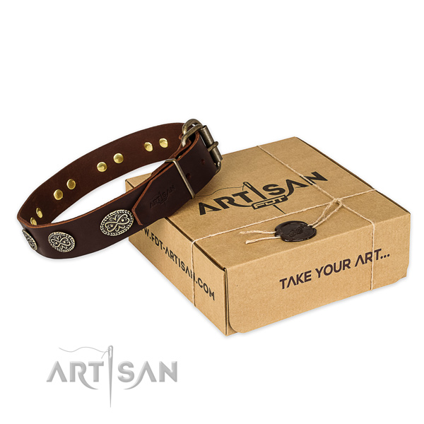 Reliable buckle on natural genuine leather collar for your attractive canine