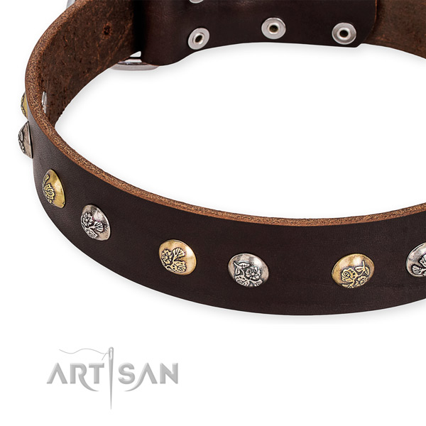 Full grain natural leather dog collar with unusual corrosion resistant embellishments
