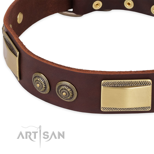 Corrosion resistant traditional buckle on full grain genuine leather dog collar for your four-legged friend