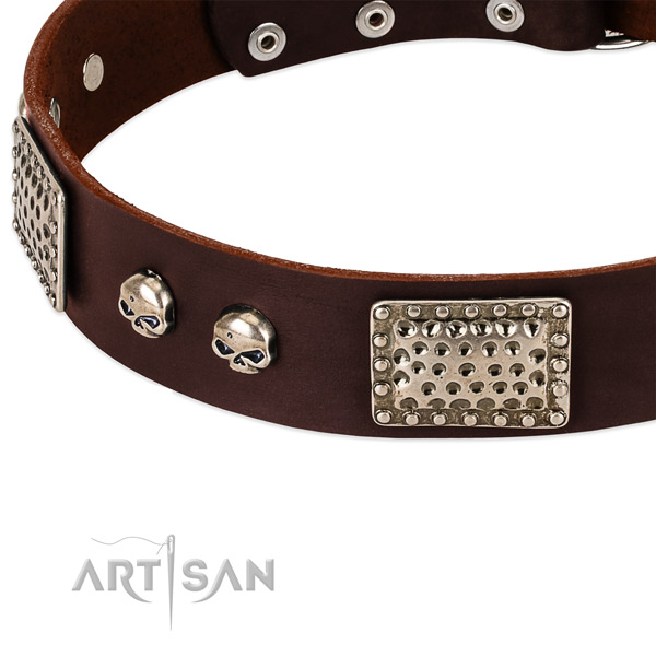 Rust resistant buckle on full grain natural leather dog collar for your dog