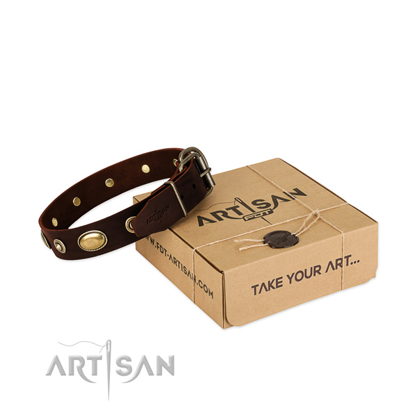 Strong traditional buckle on natural leather dog collar for your four-legged friend
