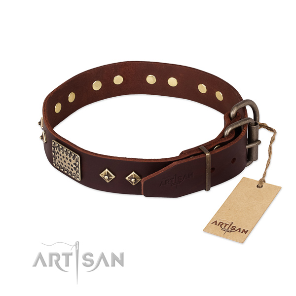 Genuine leather dog collar with reliable fittings and decorations