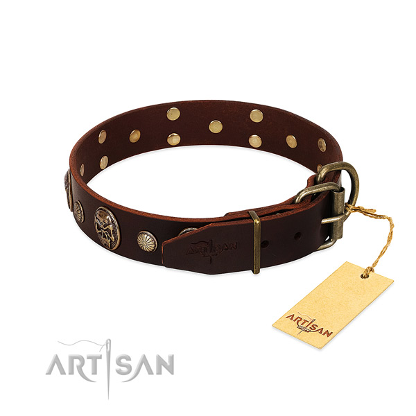 Durable adornments on walking dog collar
