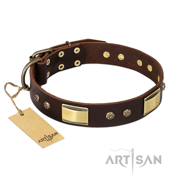Genuine leather dog collar with reliable D-ring and decorations