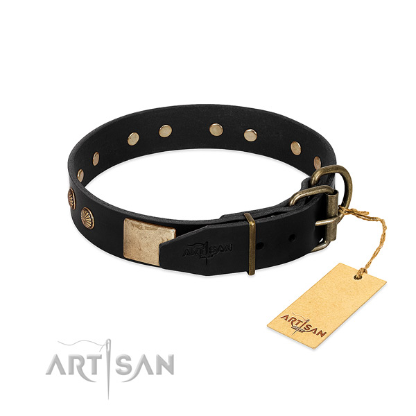 Strong studs on daily walking dog collar