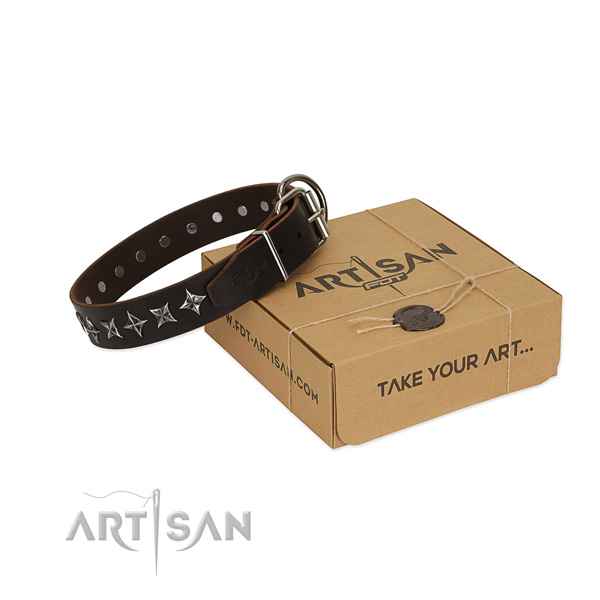 Daily walking dog collar of best quality full grain natural leather with adornments