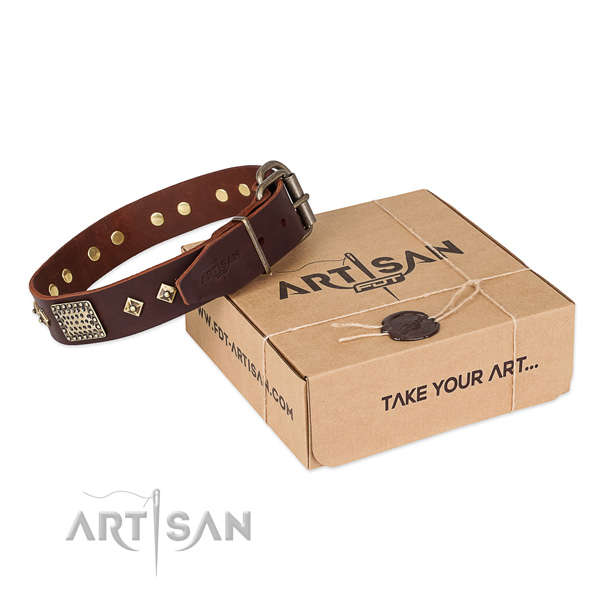 Fine quality full grain natural leather collar for your handsome four-legged friend